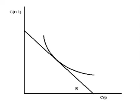 Az 1. ábra egy lehetséges általános egyensúlyt mutat. Tegyük fel, hogy a termelési technológia (a technológia, amelynek segítségével t időszaki fogyasztást t+1 időszaki fogyasztássá tudunk transzformálni) lineáris, tehát a reál, fizikai hozamot (az időbeli