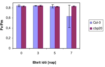 17. ábra Fv/F M  érték alakulása a mutáns (cbp20) és vad (Col-0) típusú Arabidopsis növényekben  szárazságstressz hatására 