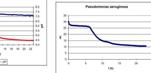 11. ábra. Enterococcus faecalis E h , pH és rH változása ½ TSB levesben, T = 37 °C, N 0 = 9,50x10 4  tke/ml.