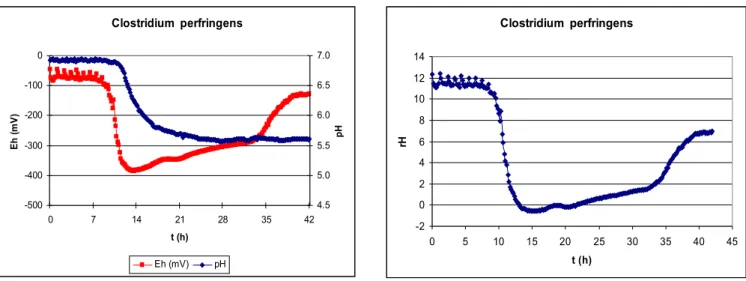 14. ábra. Clostridium perfringens E h , pH és rH változása Tioglikolát  levesben, T = 37 °C, N 0 = 2,3x10 4  tke/ml.