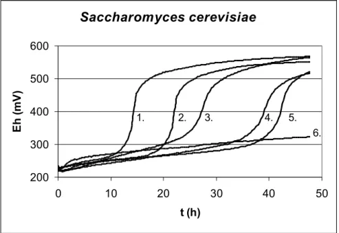 Figure 6. Indirect redox curves of Saccharomyces cerevisiae in malt broth  (T=25 °C, KOH=0,002M)