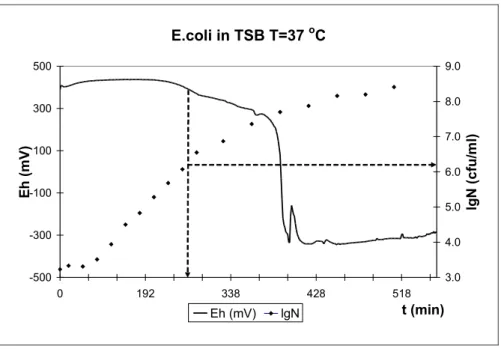 Figure 1. Growth and redox curves of Escherichia coli The arrows mark the TTD and the belonging lgN.