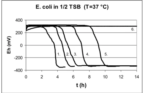 Figure   2. demonstrates  the redox  curves  of  Escherichia coli  with  different  initial   cell  counts