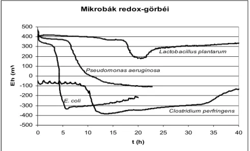 4. ábra Baktériumok szaporodási redox-görbéi 3.2.2. Az egyes mikroorganizmusok redox-görbéinek finomszerkezete
