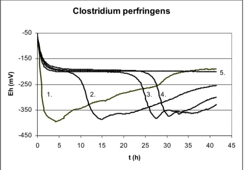 5. ábra  Clostridium perfringens redox görbéi tioglikolát tápoldatban (T=37 °C) (Az ábrán számokkal jelöltem a hígítási szinteket)