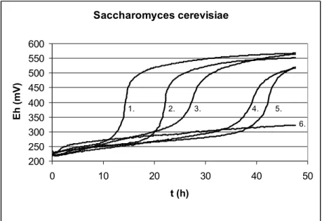 7. ábra  Saccharomyces cerevisiae indirekt méréssel meghatározott szaporodási redox- redox-görbéi maláta levesben (T=25 °C, KOH=0,002M)