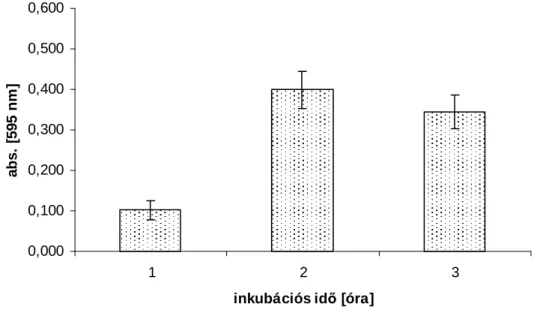 8. ábra: Lactobacillus plantarum 2142 formazán képzése 8 mg/ml MTT koncentráció és  különbözı inkubációs idık esetén  