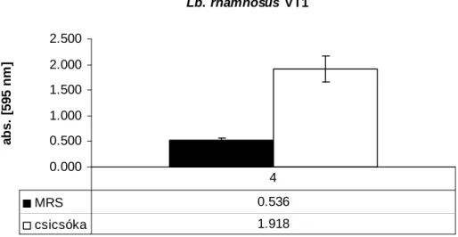 12. ábra: Lactobacillus rhamnosus VT1 sejtszáma 4 órás inkubációt követıen csicsóka- és  ötszörösére hígított MRS táptalajon szaporítva 