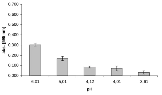 13. ábra: Lactobacillus rhamnosus VT1 formazán képzése (8 mg/ml MTT) azonos sejtszám  és eltérı táptalajon történı 4 órás szaporítást követıen 