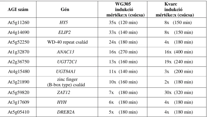 4.1. táblázat. A 10 legmagasabb UV-B indukciót mutató gén 