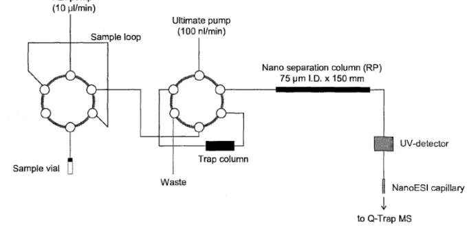 2. ábra: Az Ultimate nano-HPLC-rendszer (LC Packings, Amsterdam, Netherlands) és egy Q- Q-Trap tömegspektrométer összekapcsolásának vázlata (DEVREESE et al., 2002)