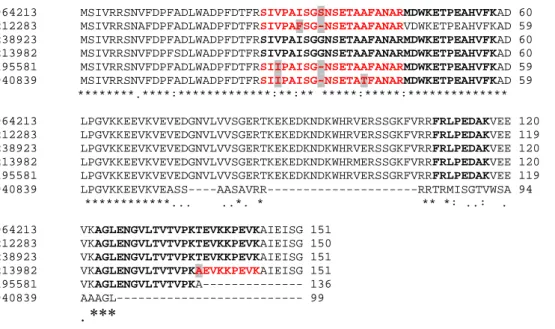 A 4. ábra 4. fehérjefoltja élesen elvált a 3.-tól, mely ugyancsak szintén a 16,9 kDa-os fehérje  egyik izoformját tartalmazta