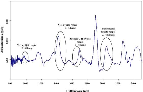 16. ábra: Sütőipari termék átlagspektrumának (n=178) első deriváltja a fehérjére jellemző rezgési  tartományokkal 