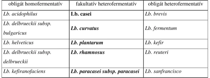 1. táblázat: A Lactobacillus nemzetség, fermentációs tulajdonságokon alapuló fı csoportjai  (STILES &amp; HOLZAPFEL 1997)                   