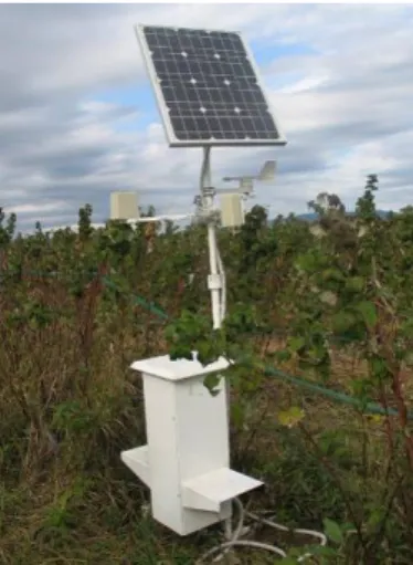 6. ábra. A meteorológiai állomással kombinált automatizált szexferomon rovarcsapda   (Fotó: Sipos Kitti) 
