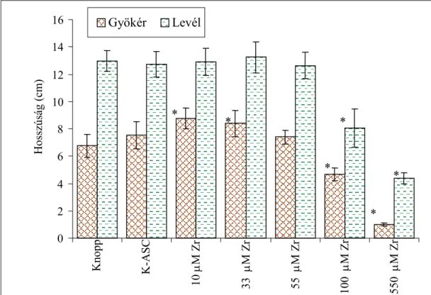 16. ábra: Zr-ASC kezelés hatása a csíranövény méreteire  (* = P&lt;0,05)