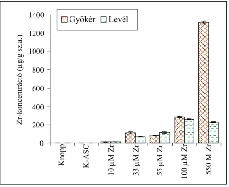 19. ábra: Búza csíranövény Zr-akkumulációja Zr-ASC tartalmú tápoldatból