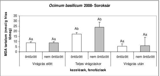 17. ábra MDA koncentráció változása szabadföldön nevelt, öntözött és öntözetlen Ocimum  basilicum növényben, 2008-ban (átlag ± SD)