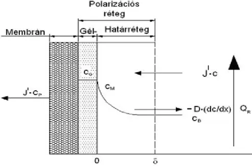 14. ábra: Az ellenállás-modell és anyagátadási modell szemléltetése 