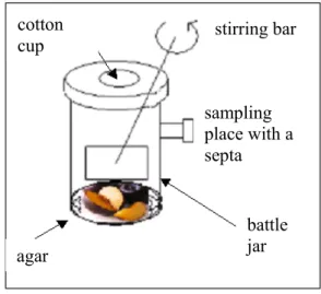 Figure 1: Sample storage  sample sampling  place with a septa battle jar cotton 