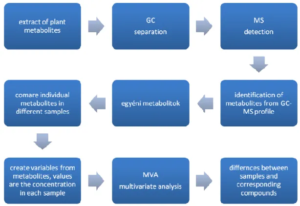 Figure 2: Flowchart of the task (MVA: multivariate analysis) 
