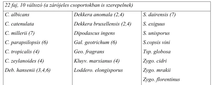 8. táblázat: Cikloheximid tűrő, cellobiózt nem asszimiláló élesztők 22 faj, 10 változó (a zárójeles csoportokban is szerepelnek)