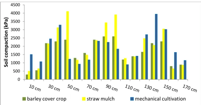 1. Figure:  Average soil compaction in September in case of Furmint (Tokaj, 2008)