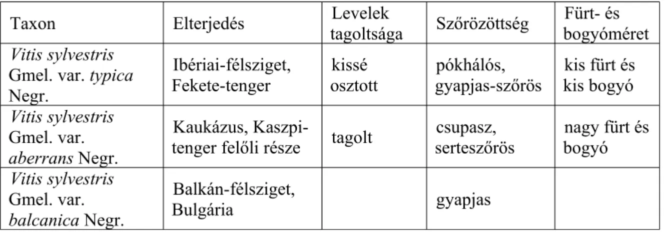 2. táblázat: NEGRUL' (1946) morfológiai jellemzők alapján elkülönített 3 Vitis sylvestris  C.C