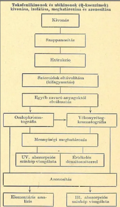 9. ábra: Mintaelőkészítési vázlat Q 10  élelmiszerekből történő meghatározására  (Berndorfer-Kraszner és Telegdy-Kovács, 1971) 