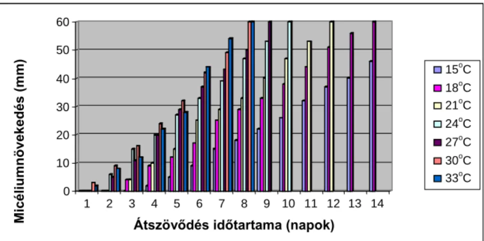 A 23. ábra a GA 03 jelű törzs micélimnövekedésének sajátosságait mutatja be.  