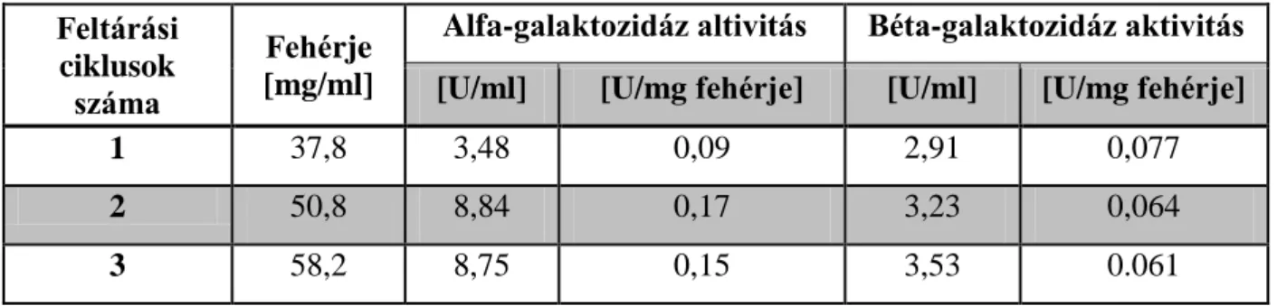 18. táblázat: A fehérjetartalom és az enzimaktivitások változása a feltárások során  Feltárási 