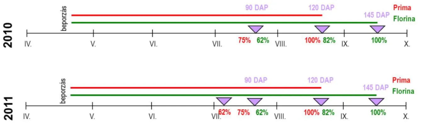 1. ábra: Alma m intagyűjtések időpontjai (lila jelölők) a beporzást követő napok fényében