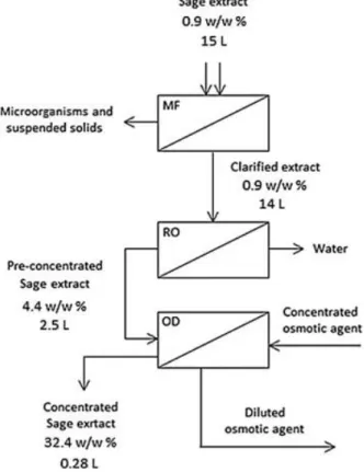 Figure 2 Schematic flow-chart of the suggested integrated membrane process (MF-RO-OD) for  concentration sage extract 