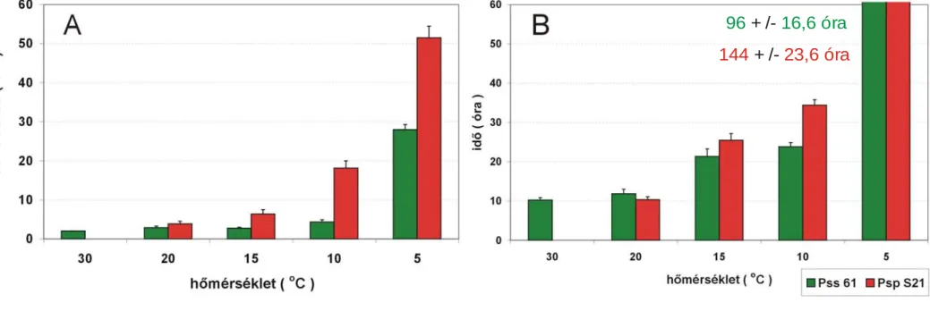 5. Ábra A hőmérséklet csökkenése növelte a P. syringae 61 és a P. phaseolicola S21 törzsek dohányban mért HR-indukciós idejét (A) és a  HR megjelenését (B) 
