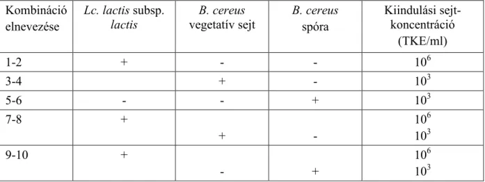 6. táblázat: Kísérleti beállítások  Lc. lactis subsp. lactis és  B. cereus T versengı szaporodása  esetén PCB-ben