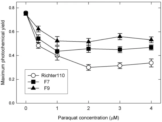 Figure  1  Changes  in  photochemical  yield  of  grapevine  leaf  disks  upon  exposed  to  various  concentrations  of  paraquat  in  the  light
