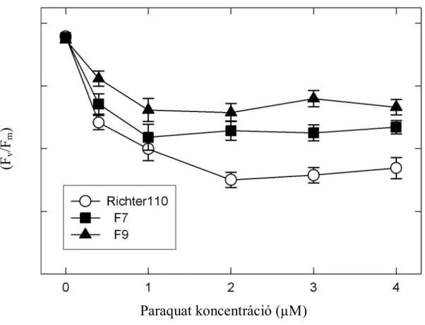 1. ábra: A nem-transzformált kontroll és a pRok2Ferr transzformáns ‘Richter 110’ növények  leveleinek  fotoszintetikus  teljesítményében  bekövetkezett  változások  a  különböző  koncentrációjú paraquat oldatokban