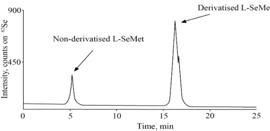 Figure 6: Incomplete derivatisation of L- selenomethionine with OPA and NIBC, monitored  with RP-HPLC-ICP-MS instrumentation 