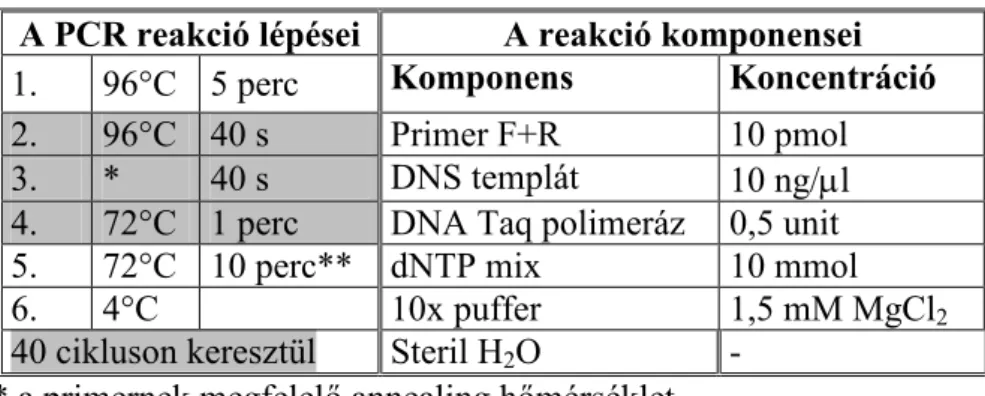 8. táblázat: A felhasznált PCR program paramétererei 