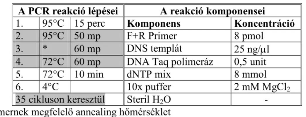 11. táblázat: A felhasznált PCR program paraméterei 