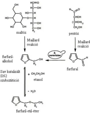 22. ábra  A furfuril-etil-éter képződése a sör tárolása során  (Vanderhaegen et al., 2004a) 