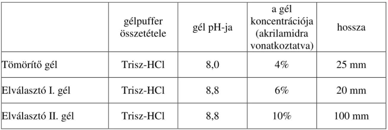 2. táblázat: Natív gélelektroforézis esetén az elválasztáshoz használt gél tulajdonságai 