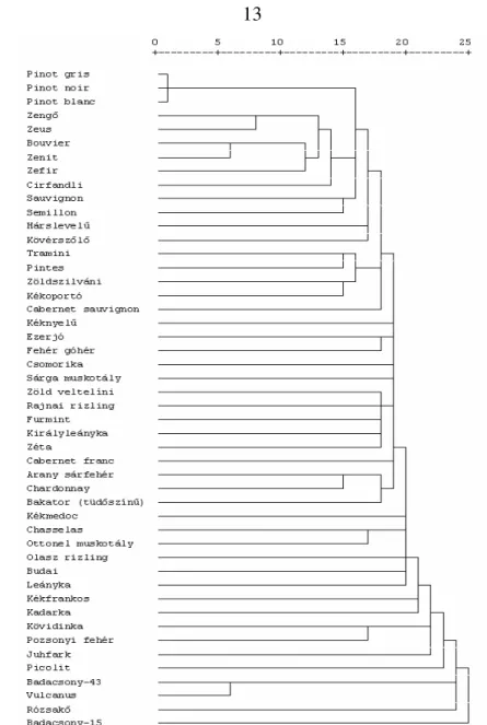 3. ábra: A vizsgált fajták dendrogrammja mikroszatellit  eredmények alapján 