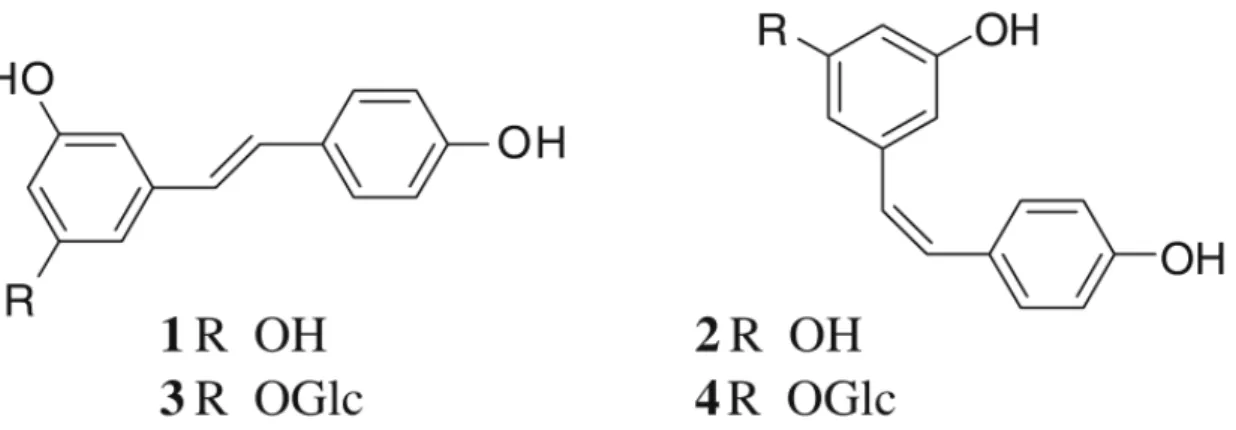 4. ábra - 1: transz-rezveratrol; 2: cisz-rezveratrol; 3: transz-piceid; 4: cisz-piceid; Glc: glükóz  (R ENTZSCH  et al