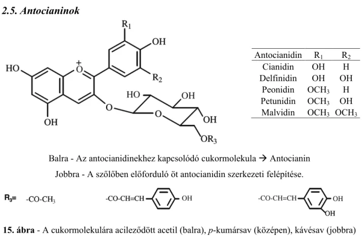 15. ábra - A cukormolekulára acileződött acetil (balra), p-kumársav (középen), kávésav (jobbra)  Az ábrák forrása: M ONAGAS ÉS  B ARTOLOMÉ  (2009) 
