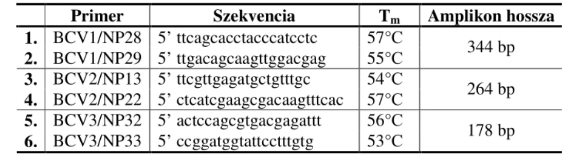 4. táblázat: BCV1, -2 és -3 vírus-specifikus kimutatására alkalmas indítószekvenciák és a  PCR termékek várt hossza