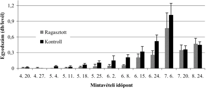 14. ábra. Phytoseiidae atkák egyedszámának alakulása a ragasztott törzsű és a kontroll  almafákon (Soroksár, 2009) 