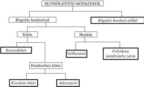 A sejtrögzítési módszerek csoportosítását a 4. ábra mutatja be. 