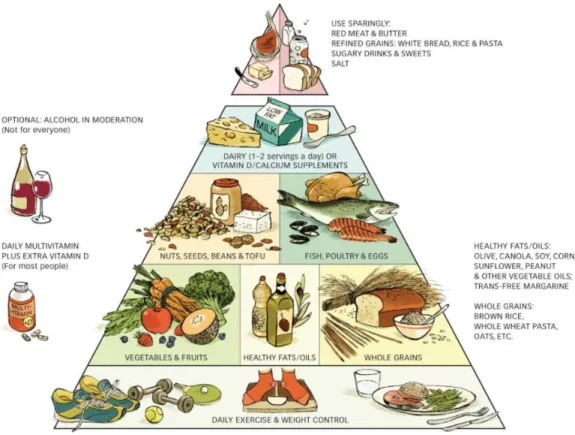 5. ábra. A táplálkozási piramis (Forrás: https://www.hsph.harvard.edu/nutritionsource/healthy- https://www.hsph.harvard.edu/nutritionsource/healthy-eating-pyramid/) 