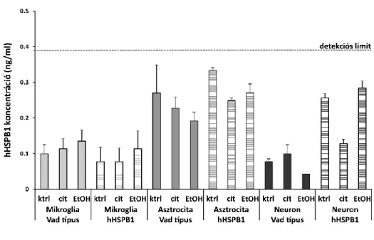 12. ábra A primer sejtek hHSPB1 termelése. A primer sejttenyészetek által felszabadított  hHSPB1 mennyiségét ELISA segítségével határoztuk meg 24 órával a kezeléseket követően